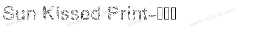 Sun Kissed Print字体转换